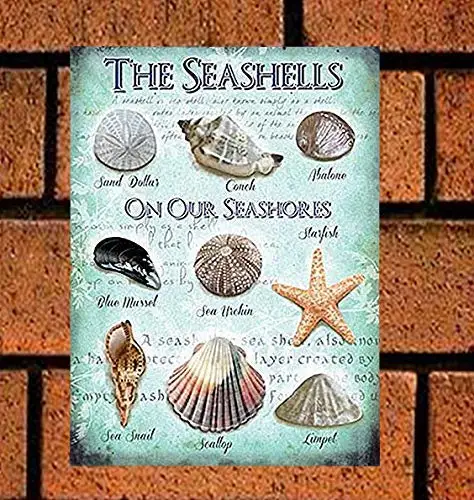 Seashells ON The Seashore Retro Metal Sign 8X12 Wall Decor