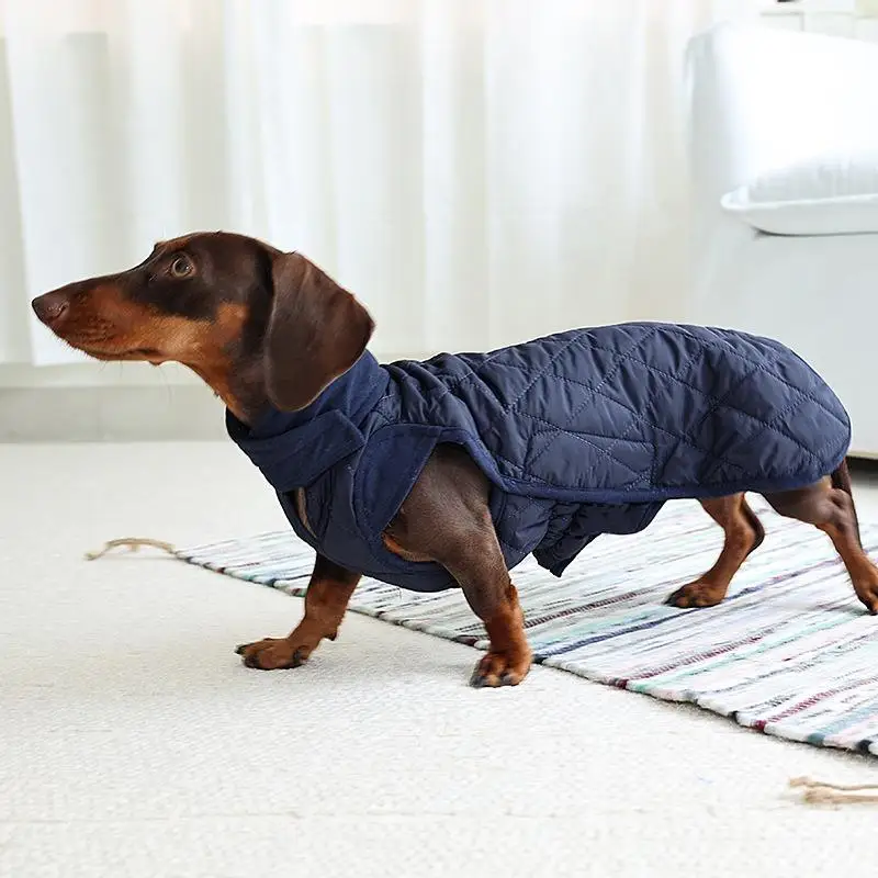 #44 Compare Dog Coats Before You Buy