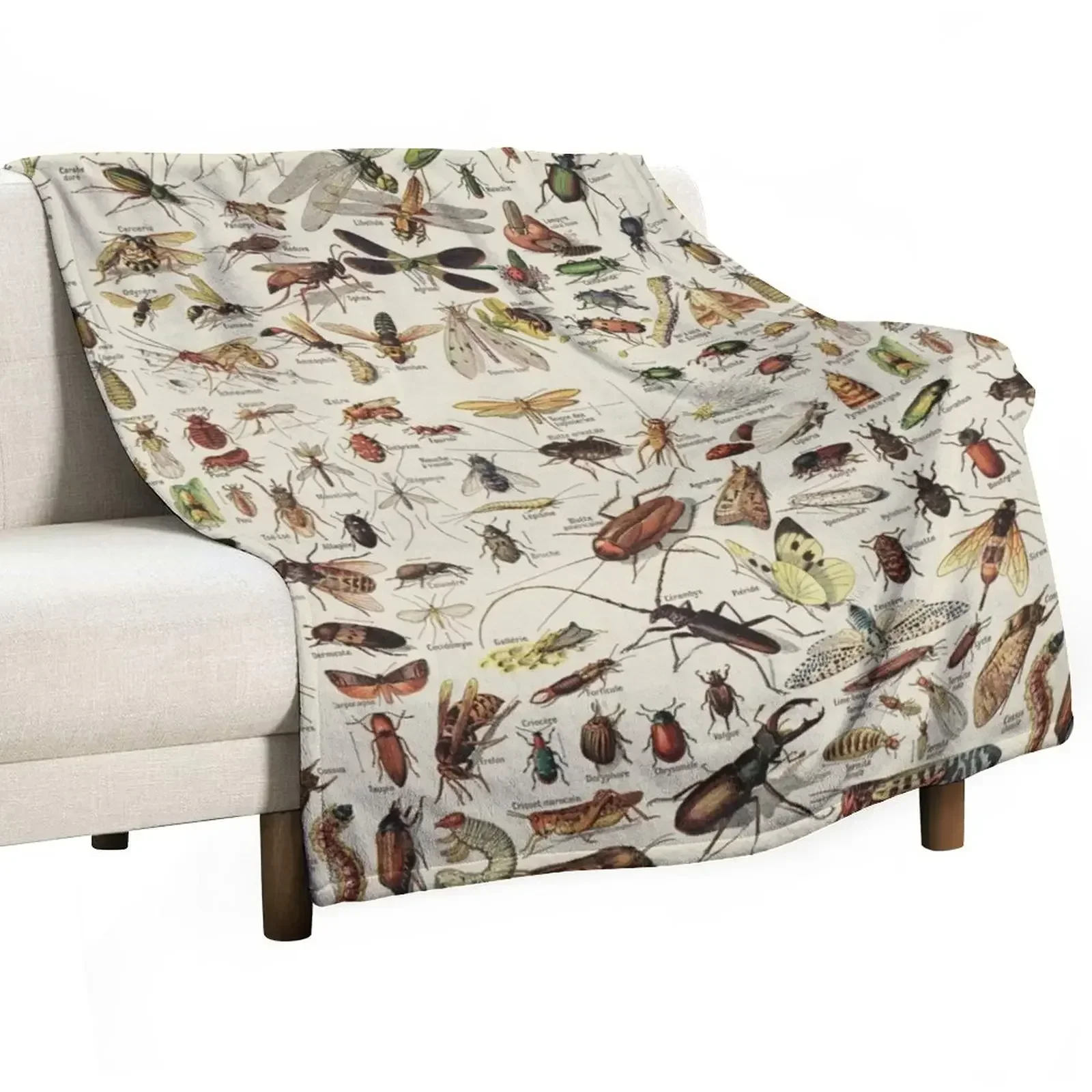 

Insects Chart. Scientific Illustration, text in french Throw Blanket Heavy For Sofa Thin Softest Fashion Sofas Blankets