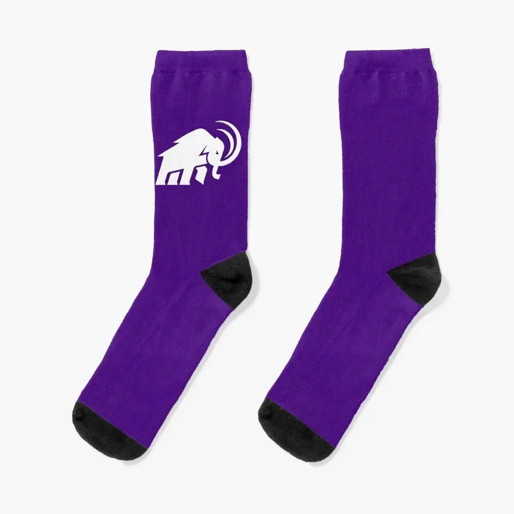 Amherst College Socks cycling valentine gift ideas Stockings compression bright garter Men Socks Women's