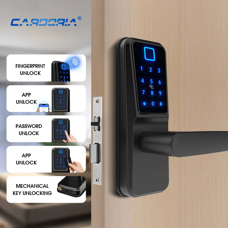 

European French Home Security Deadbolt Keyless Entry Key Card Aluminum Alloy Iron Wooden Door Lock Turkey