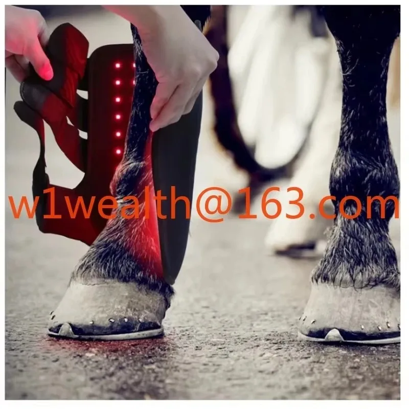 

LED Near Infrared Light Pet Horse LightTherapy Led Lamp Horse Red Light Pad Machine Black for Horse