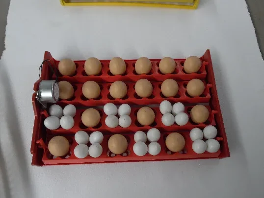 24 Automatic Hatching Machine Multifunction Egg Dish Bird Egg Duck and Goose Dove Disc