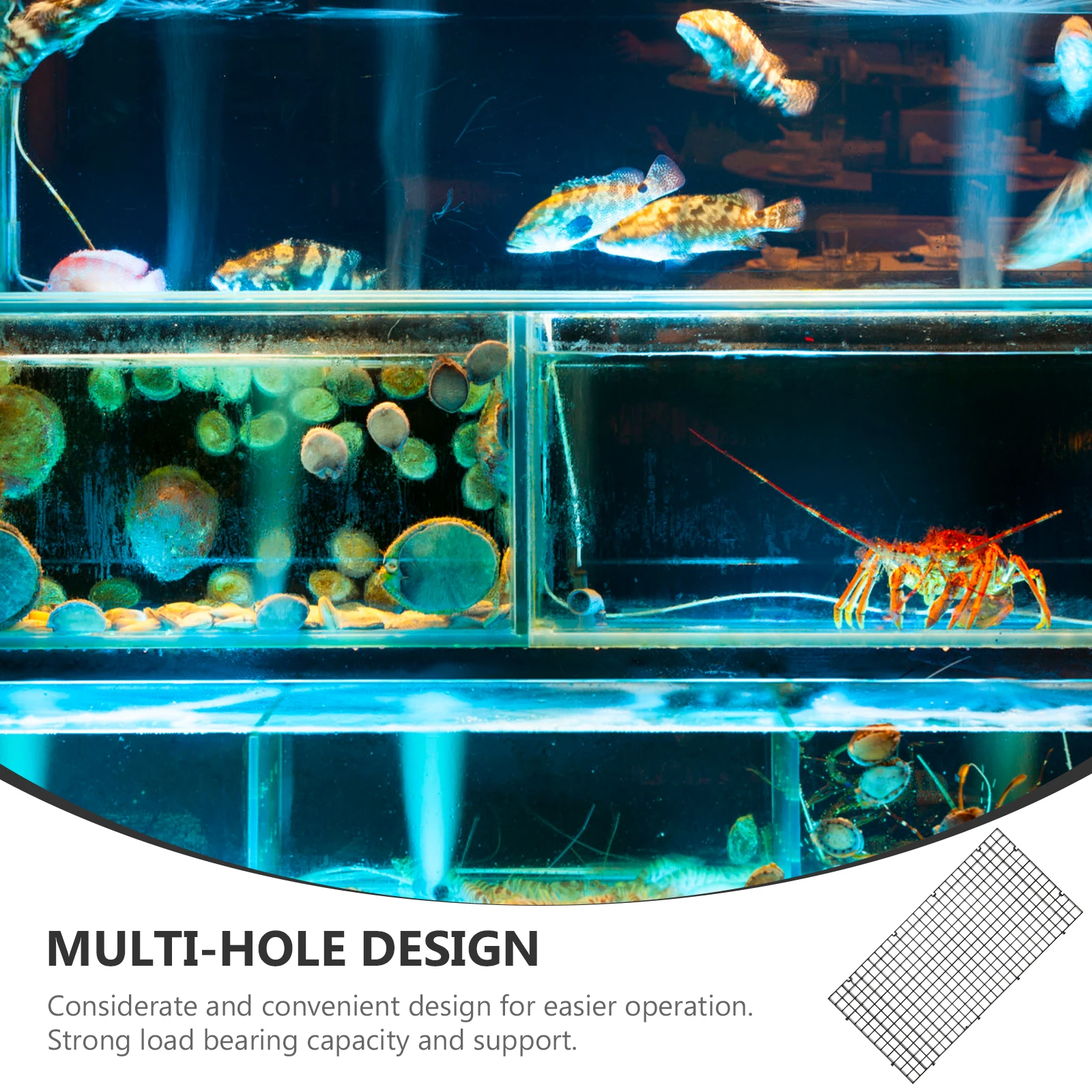 

4Pcs Aquarium Filtering Plates Fish Tank Divider Pp Multi-Hole Design Fish Tank Dividing Grid Isolation Plates