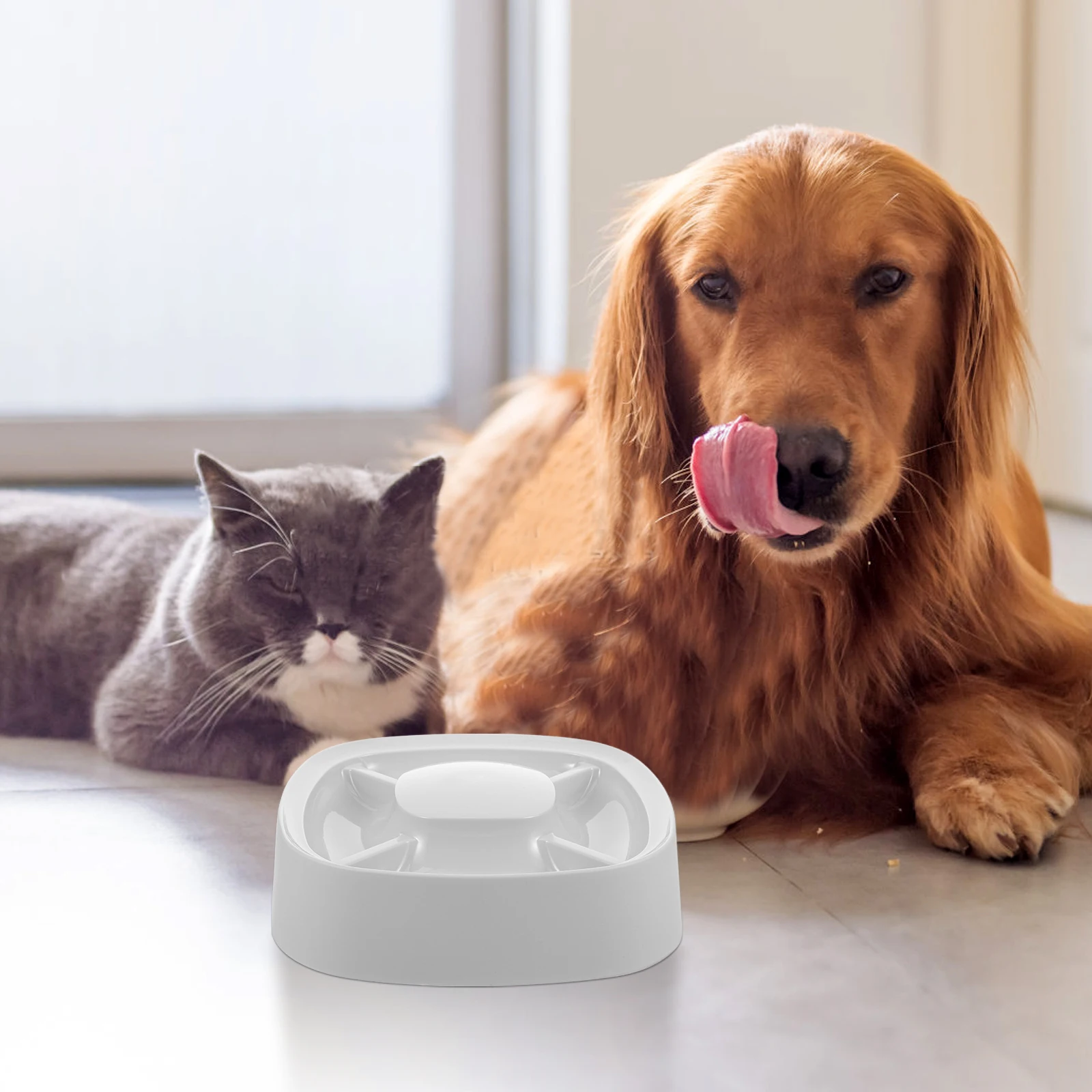 

Slow Feeder For Cat Dog Puppy Pet Food Water Large Capacity Plastic Divided Feeding Easy Clean Indoor Pet Bowl Multiple Cat Dog