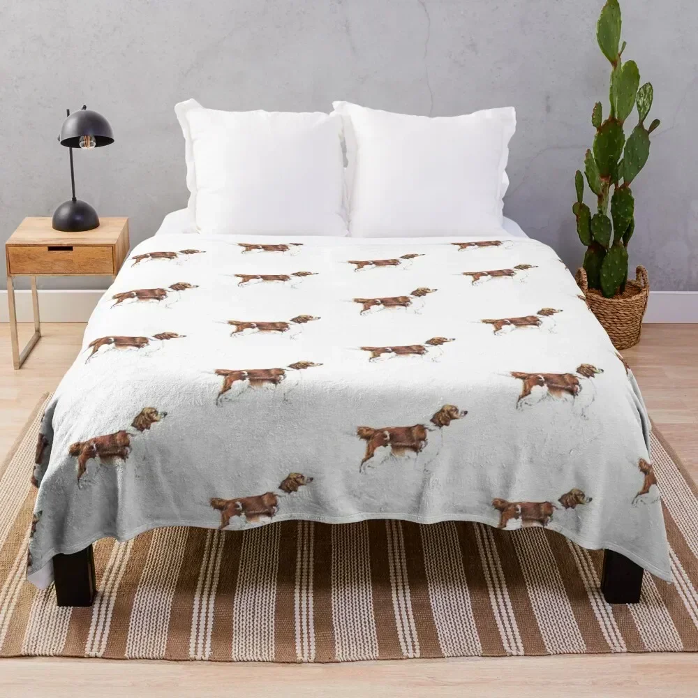 

Welsh Springer Spaniel Dog Breed Show Stack Stand Throw Blanket Fuzzy Plush Throw Blanket for Sofa Chair