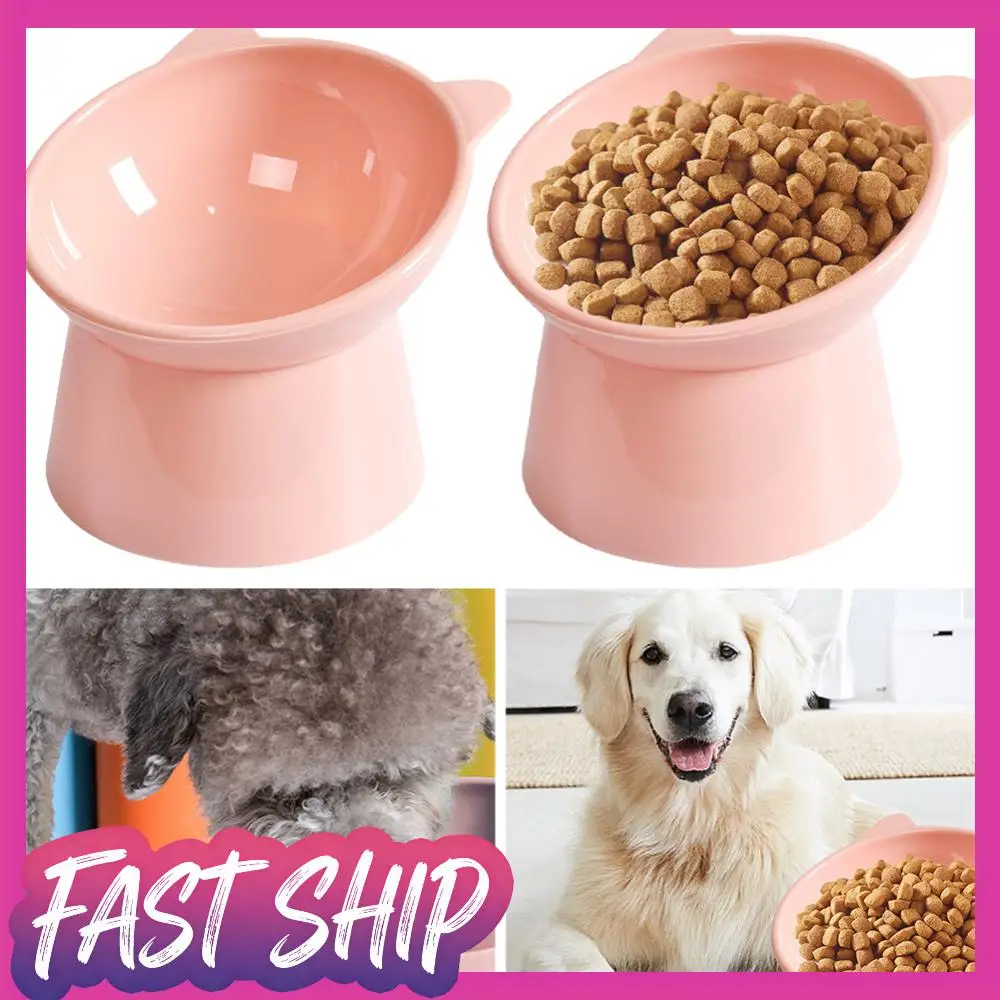 Comedero Inclinado para Gatos, Plato Ergonómico Elevado para Comida de Gato, Antivómito, Comedero Alto para Perros, Antideslizante para Gatos de Cara Plana