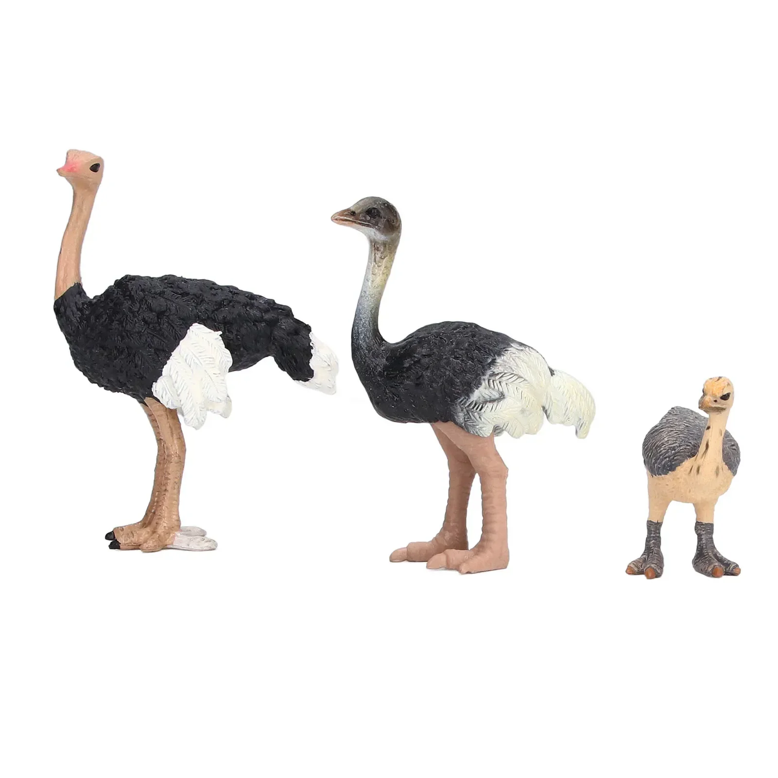 3pcs Realistic Ostrich Figurine, Wildlife Animal Figure, Lifelike Educational Learning Simulated Ostrich Wildlife Animal Toy