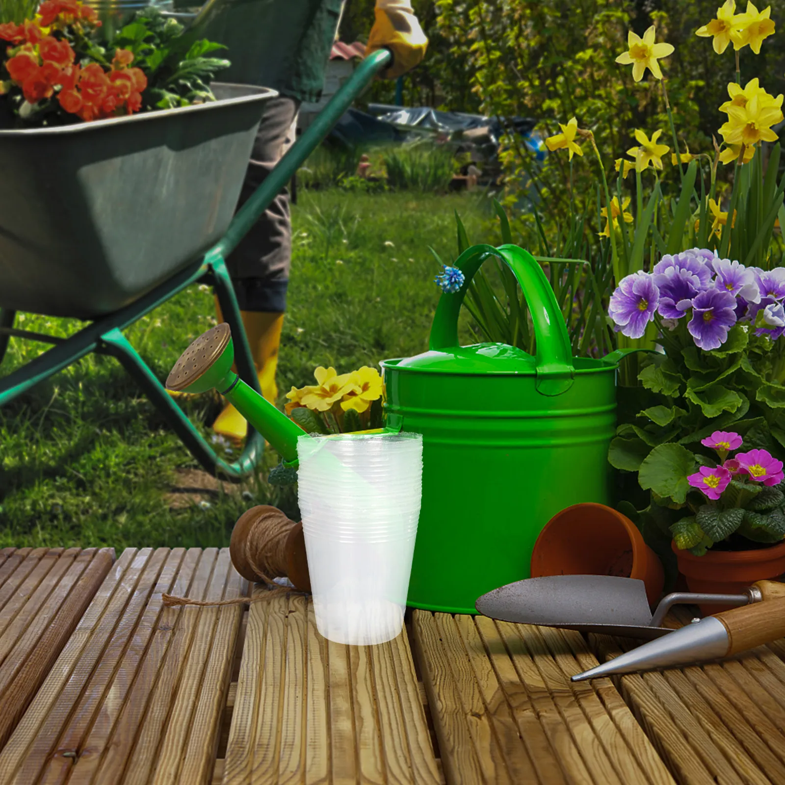 30 Pack Transparent Plastic Plant Nursery Pots for Seed Starting with Drainage and Root Observation
