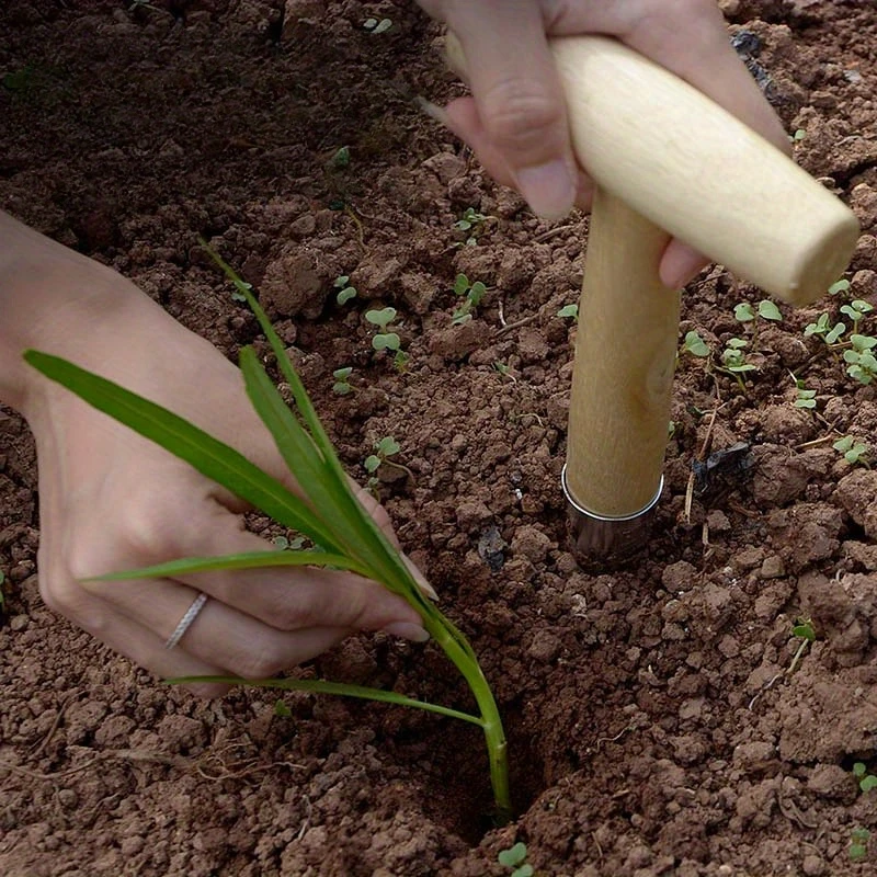 

Ручной садовый дырокол для посадки, пересадки и рассады, инструмент для домашнего садоводства, насадка-сажалка для удобрений и посева семян