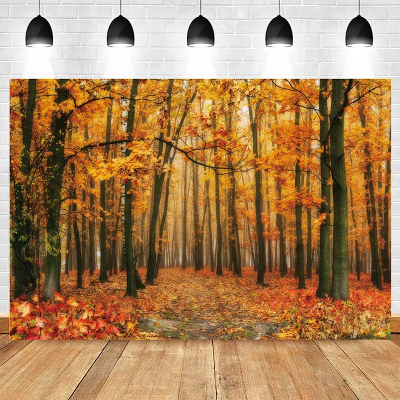 Nature Landscape Picture Autumn Forest Trees Posters Sunshine Prints Canvas, Wall Art, For Living Room Decor Cuadros Gift