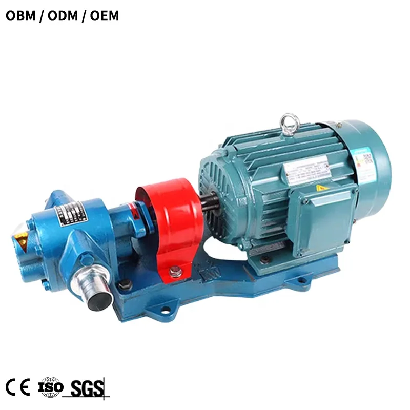 High viscosity liquid sand transfer pump Stainless steel Automatic Cooking oil suction pump 220V gear oil transfer pump