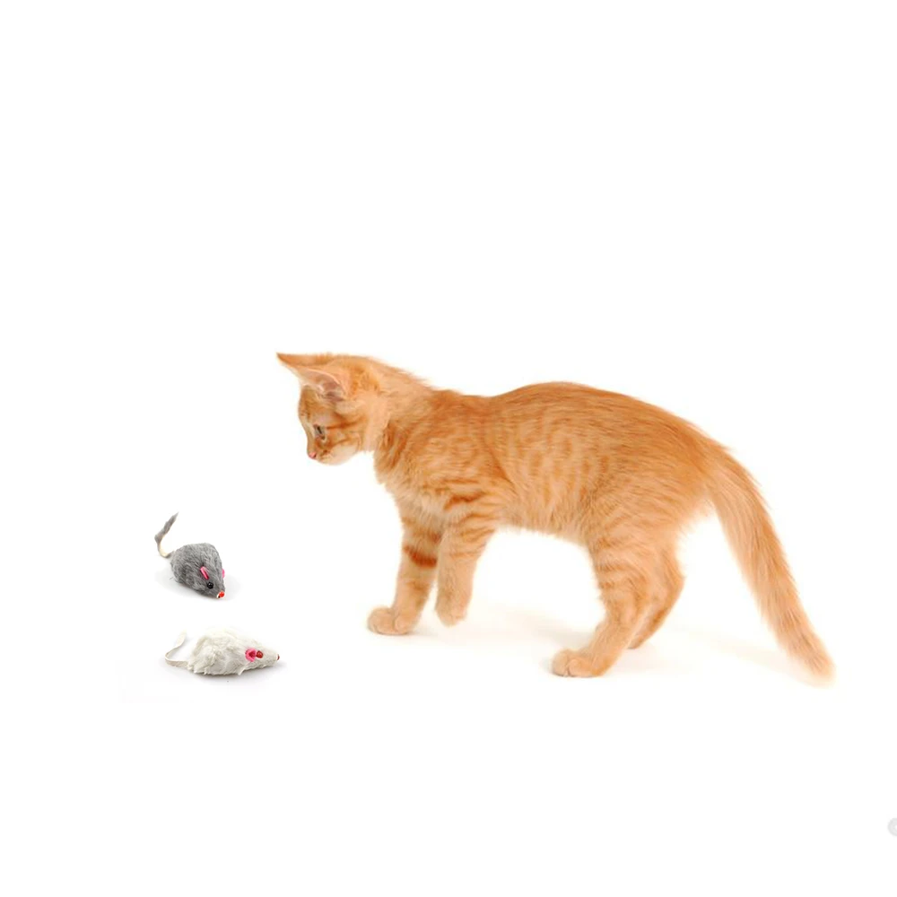 偽のペットのおもちゃ,長い髪の尾,音,ガラガラ,柔らかい本物のウサギの毛皮,きしむ猫のおもちゃ,12個