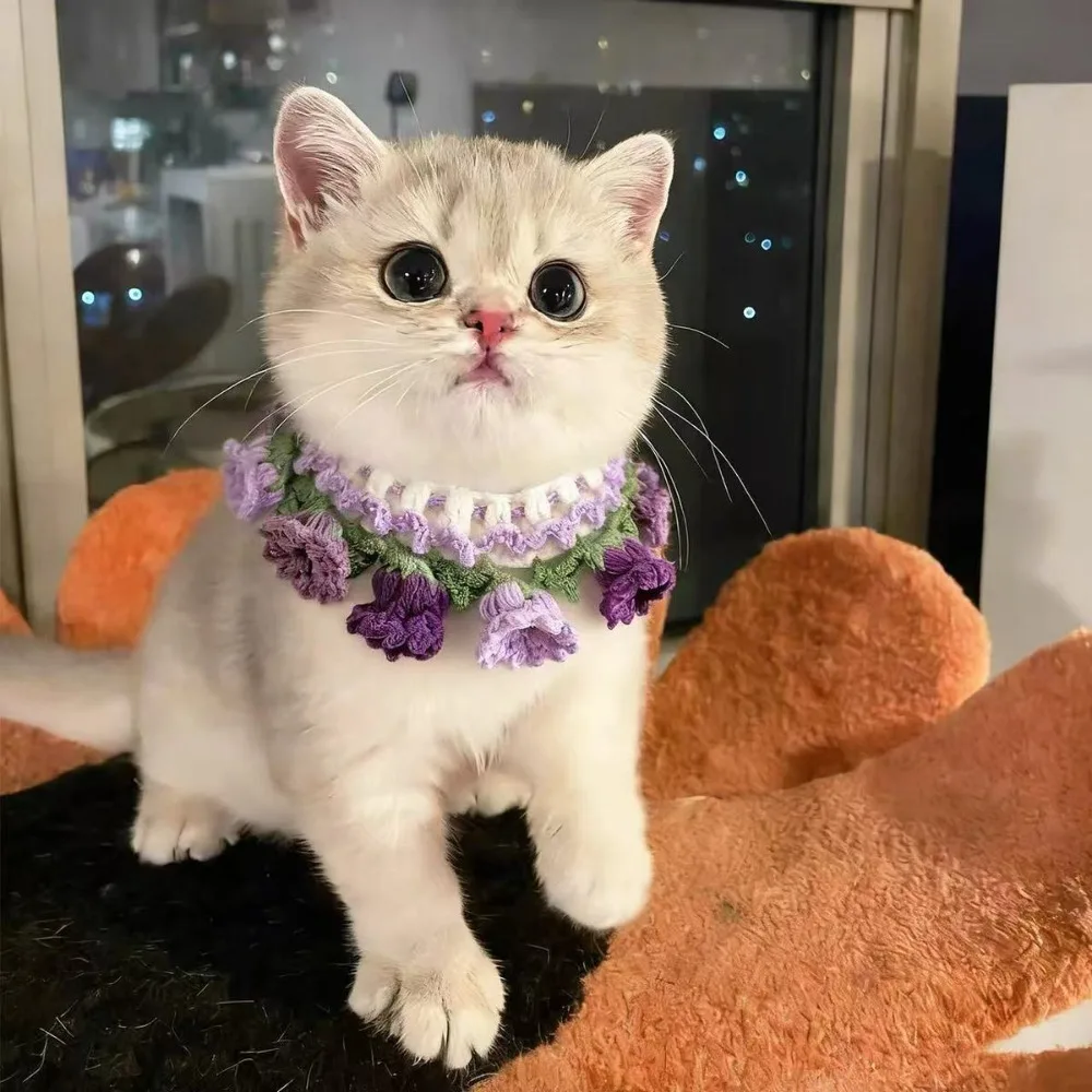 Cute Pet Accessories Cat Dog Universal Film Artifact Hand Knitted Purple Flower Photo Act Cute Artifact Pet Products