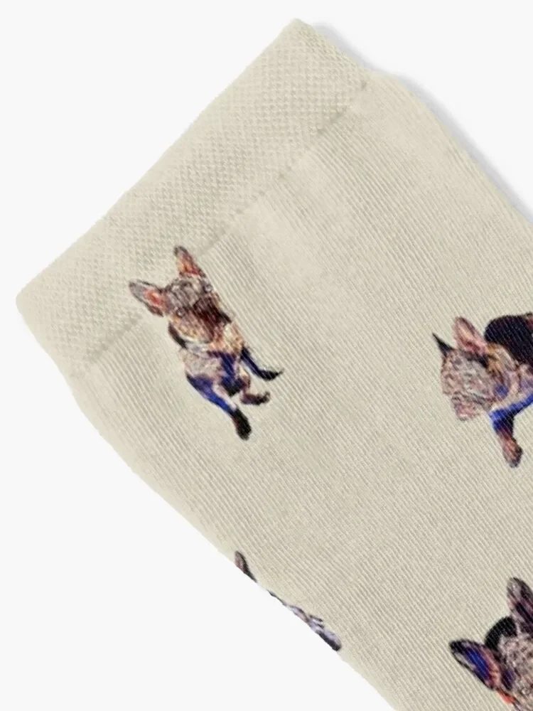 Frenchie, Frenchie and more Frenchie Socks cool cotton Women Socks Men's