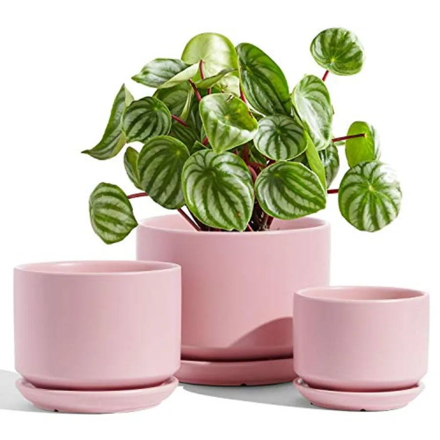 

Ceramic Plant Pots, 4.3+5.3+6.8 inch, Set of 3, Planters with Drainage Hole and Saucer, Indoor Flower Pot with Hole Mesh Pad, G