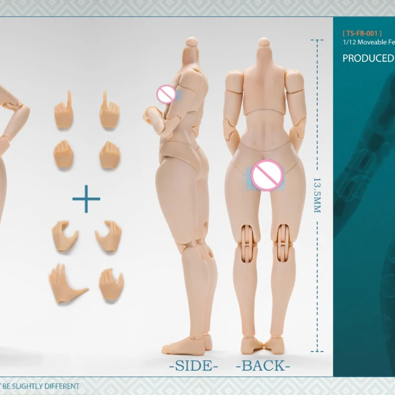 2025New Q1 TUNSHI STUDIO TS-FB-001/002 1/12 اللوحة أنثى عمل الشكل 13.5 سنتيمتر سوبر مرنة كبيرة تمثال نصفي صغير دمية صبي #4