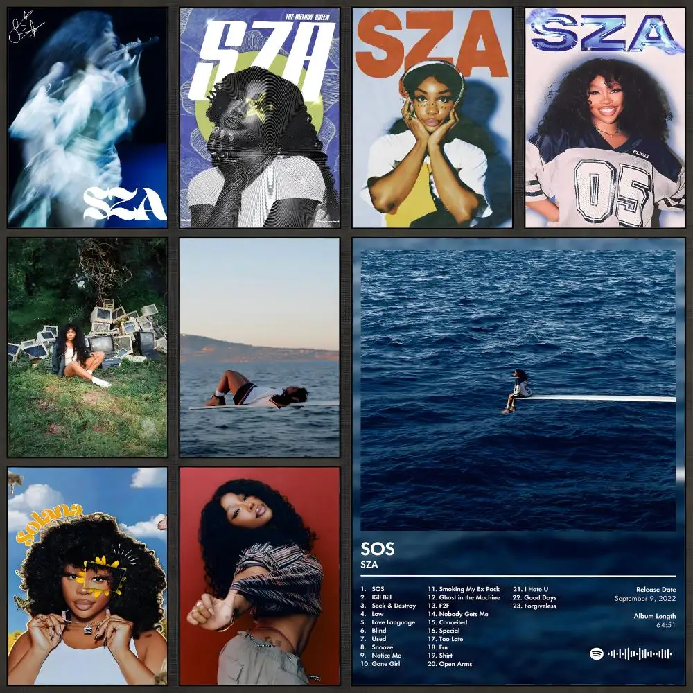 Singer SZA R&B Soul Aesthetic Poster Peel And Stick Wall Art PP Waterproof HD Bedroom Living Room Home Decor Gift