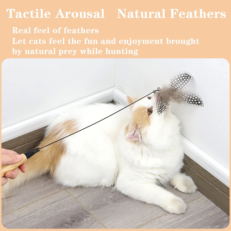 Cat Teaser Stick Toys With Wooden Handle Spring Cat Wand Interactive Feather Toy Replaceable Training Kitten For Cats Supplies