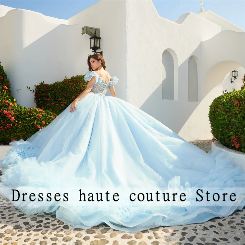 Mexico Sky Blue Ball Gown Quinceanera Dress 2025 Floral Lace Appliques Beaded Tull Sweet 16 Dress Customized Vestido De 15 Anos