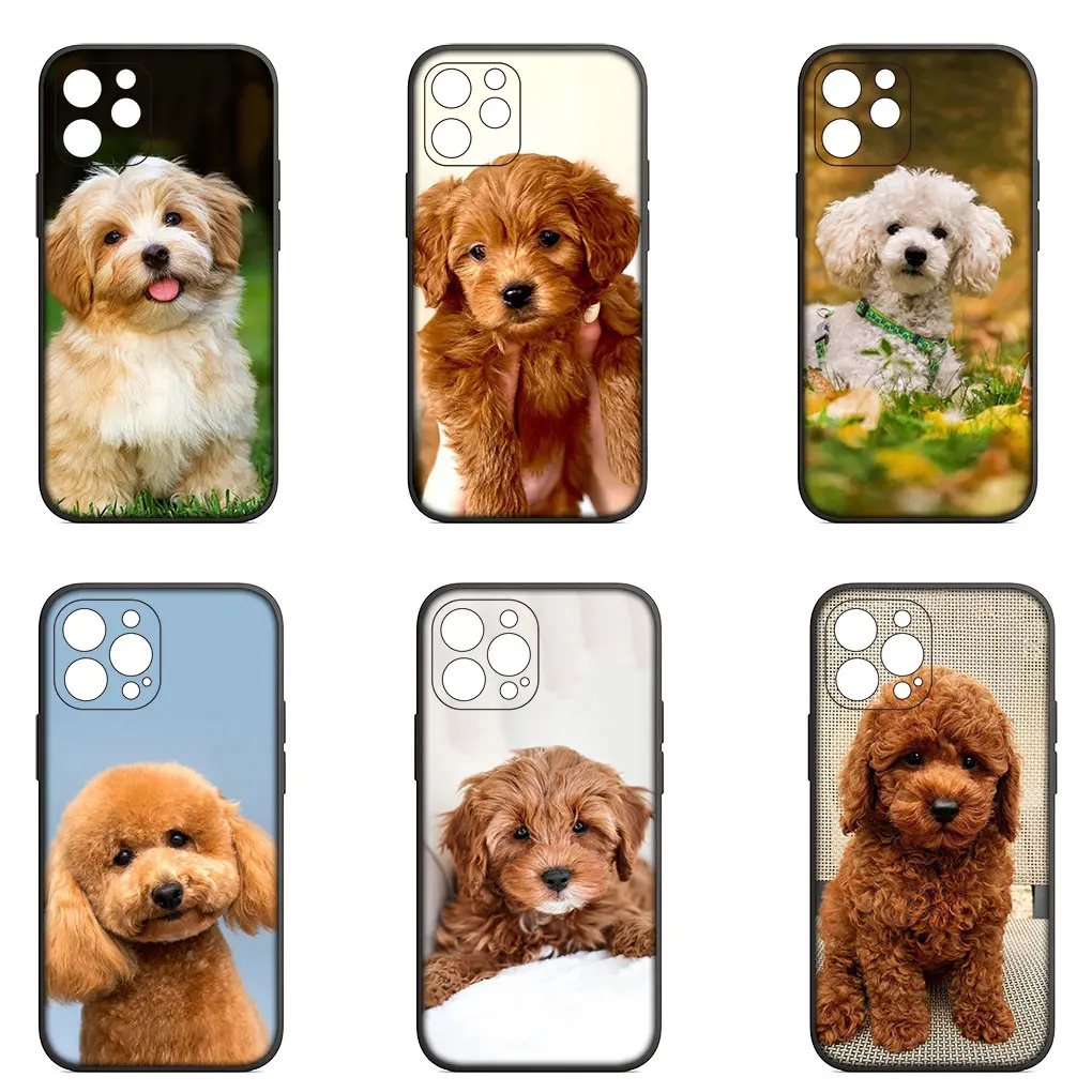 Lovely Poodle Dog Pet Soft Casing for iPhone 14 13 12 Mini 11 Pro X XR XS Max 6 7 8 Plus 6s + SE 2020 Phone Cover Case