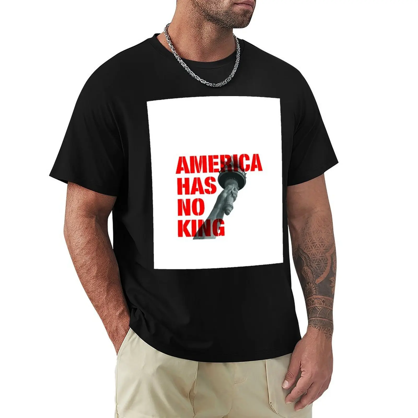 

America Has No King  T-Shirt funny gifts graphics outfits for men