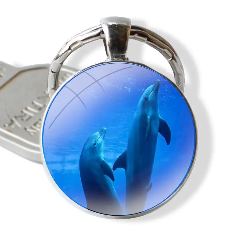 Ocean animals dolphin seal Keychain Glass Cabochon Metal Pendant Classic Men's Women's Keyring