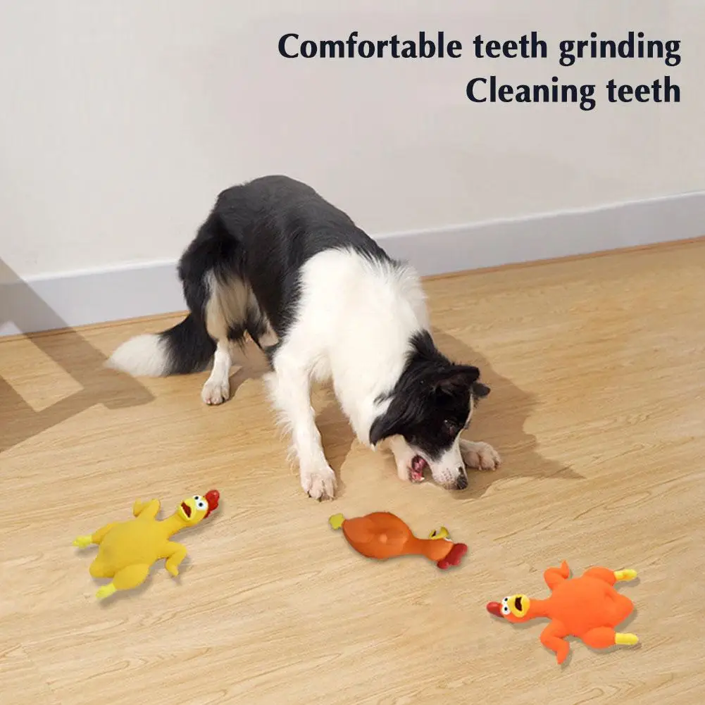 Π‘ΠΈΠΌΠΏΠ°ΡΠΈΡΠ½Π°Ρ Π»Π°ΡΠ΅ΠΊΡΠ½Π°Ρ ΠΏΠΈΡΠ°Π»ΠΊΠ° Π΄Π»Ρ ΠΏΠΈΡΠΎΠΌΡΠ΅Π² Π² ΡΠΎΡΠΌΠ΅ ΠΊΡΡΠΈΡΡ, ΠΈΠ³ΡΡΡΠΊΠΈ Π΄Π»Ρ ΡΠΎΠ±Π°ΠΊ, ΠΊΠΎΡΠ΅ΠΊ, ΡΠ΅Π½ΠΊΠΎΠ², ΠΈΠ³ΡΡΡΠΊΠΈ Π΄Π»Ρ ΡΠΎΠ±Π°ΠΊ, ΠΆΠ΅Π²Π°ΡΠ΅Π»ΡΠ½ΡΠ΅ ΠΏΡΠΈΠ½Π°Π΄Π»Π΅ΠΆΠ½ΠΎΡΡΠΈ Π΄Π»Ρ ΡΠΎΠ±Π°ΠΊ, ΠΊΡΠΈΡΠ°ΡΠΈΠ΅ ΠΏΠΈΡΠΎΠΌΡΡ, ΠΊΡΡΠΈΡΠ°, ΠΊΡΠ΅Π°ΡΠΈΠ²Π½Π°Ρ ΠΈΠΌΠΈΡΠ°ΡΠΈΡ P1H3 Π‘ΠΈΠΌΠΏΠ°ΡΠΈΡΠ½Π°Ρ Π»Π°ΡΠ΅ΠΊΡΠ½Π°Ρ ΠΏΠΈΡΠ°Π»ΠΊΠ° Π΄Π»Ρ ΠΏΠΈΡΠΎΠΌΡΠ΅Π² Π² ΡΠΎΡΠΌΠ΅ ΠΊΡΡΠΈΡΡ, ΠΈΠ³ΡΡΡΠΊΠΈ Π΄Π»Ρ ΡΠΎΠ±Π°ΠΊ, ΠΊΠΎΡΠ΅ΠΊ, ΡΠ΅Π½ΠΊΠΎΠ², ΠΈΠ³ΡΡΡΠΊΠΈ Π΄Π»Ρ ΡΠΎΠ±Π°ΠΊ, ΠΆΠ΅Π²Π°ΡΠ΅Π»ΡΠ½ΡΠ΅ ΠΏΡΠΈΠ½Π°Π΄Π»Π΅ΠΆΠ½ΠΎΡΡΠΈ Π΄Π»Ρ ΡΠΎΠ±Π°ΠΊ, ΠΊΡΠΈΡΠ°ΡΠΈΠ΅ ΠΏΠΈΡΠΎΠΌΡΡ, ΠΊΡΡΠΈΡΠ°, ΠΊΡΠ΅Π°ΡΠΈΠ²Π½Π°Ρ ΠΈΠΌΠΈΡΠ°ΡΠΈΡ P1H3