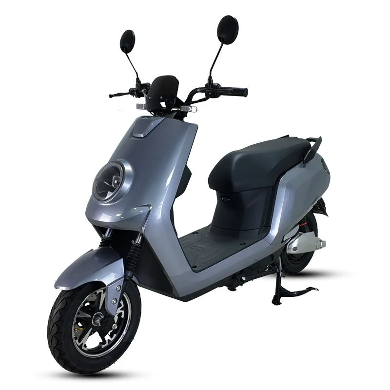 Professional Customization Made in China 1000W 45km/h Electric Bicycle  Electric Motorcycle