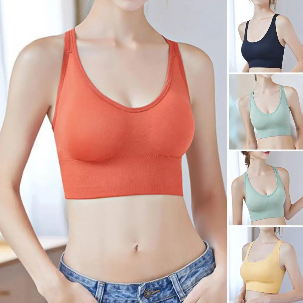 Sports Bra Solid Color Breathable Stretchy Padded Intimacy Shockproof Soft High Elasticity U-shaped Lady Bra Daily Wear Clothes