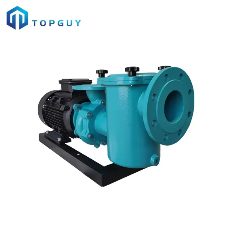 CCPB 380V 3.0HorsePowerLong-Life Iron Pump For Swimming Pools Saunas & Aquariums Effective Pool Filter