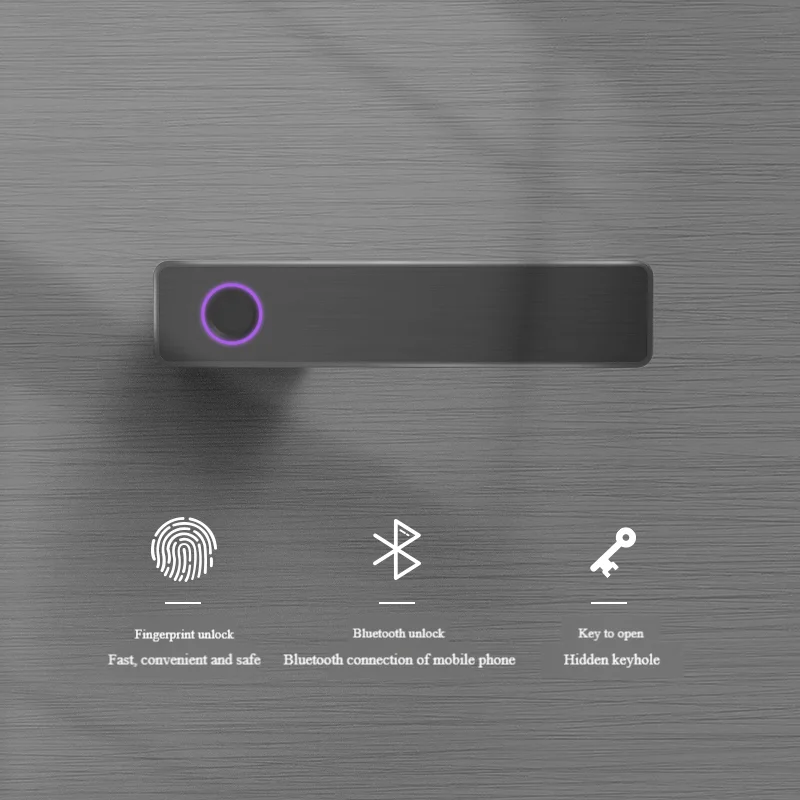 Factory Manufacturer Handle Design High Security Electric Door Smart Locks Keyless Easy Install Fingerprint APP Record Wood Door