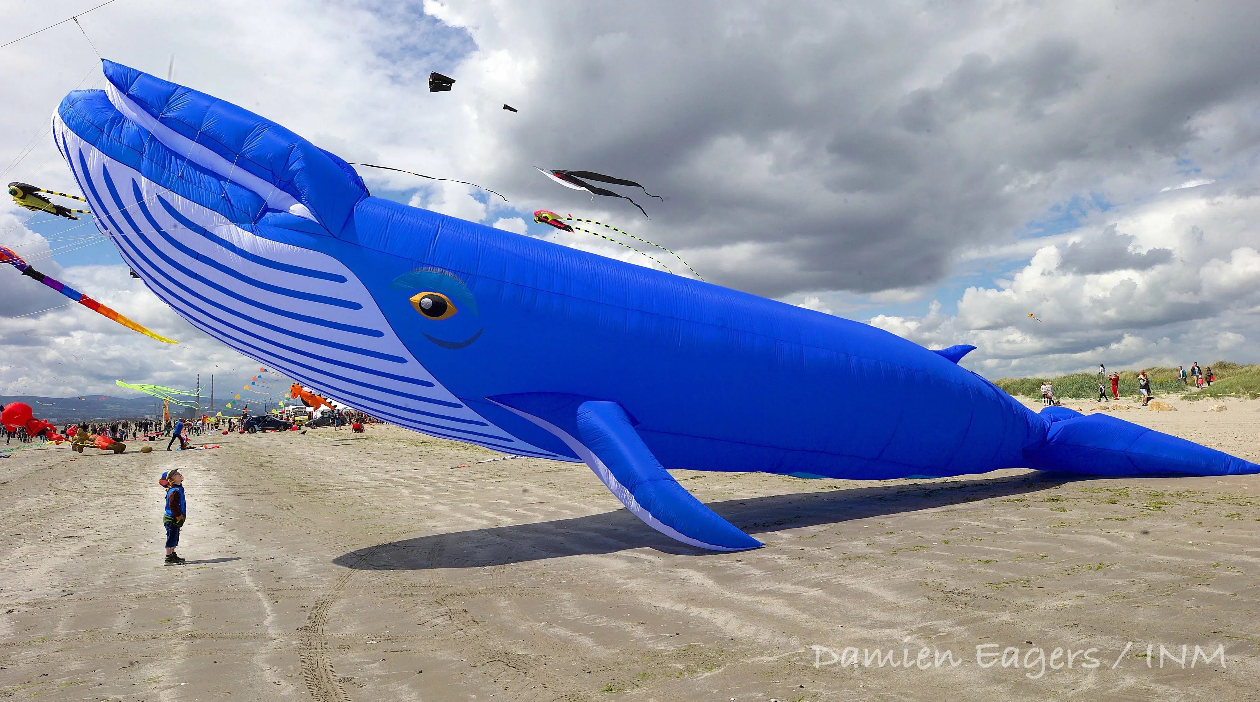 30D 9M Whale Inflatable Soft Kite Performance Hanger Beach Nylon Kites Tearproof and Easy To Fly Cometa Linha De Pipa