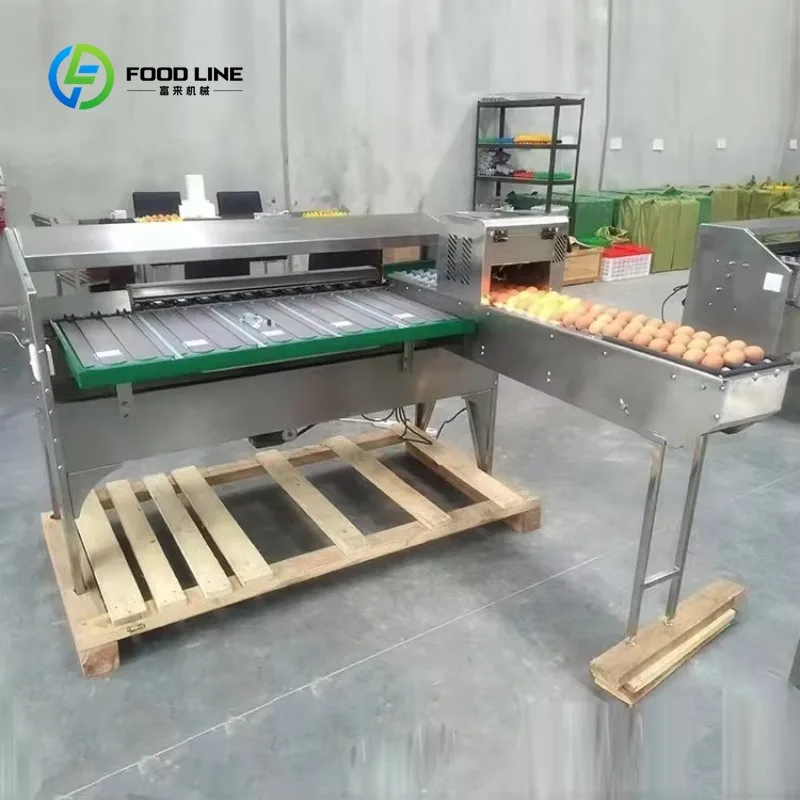 5400Pcs/h 3-Row Automatic Egg Weigh Grader Sorting Machine For Duck & Salted Egg Processing