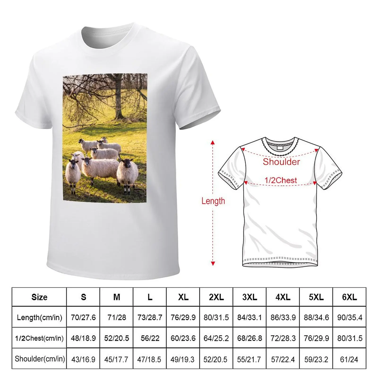 More sheep T-Shirt customizeds cute clothes sports fans quick-drying mens graphic t-shirts funny