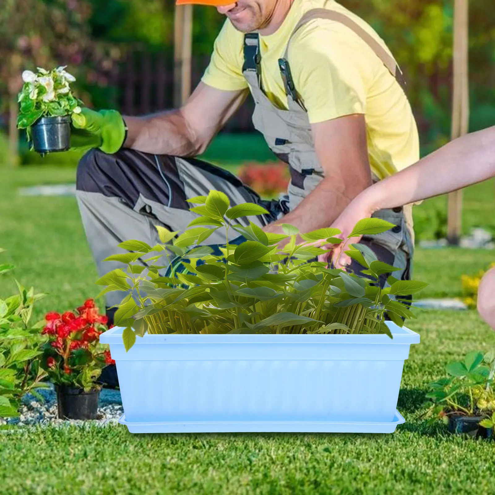 

2 шт. Декоративные вентилируемые горшки из смолы для орхидей и суккулентов, для садоводства в помещении и на улице