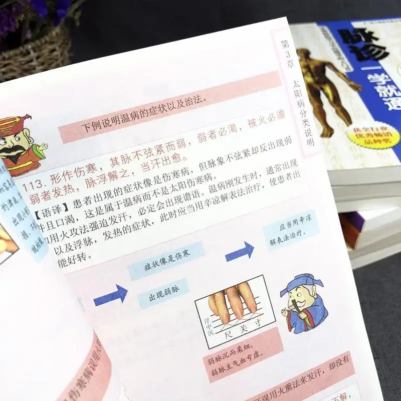 13 Books TCM Must-read Series Self-study Introductory Book Yellow Emperor's Internal Classic Acupuncture Medicine BasicTheory