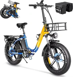 2024 Hot Electric Bike for Adults with Rear Seat and Front Basket 1000W 48V15Ah LCD Color Screen F/R Disc Brake 20