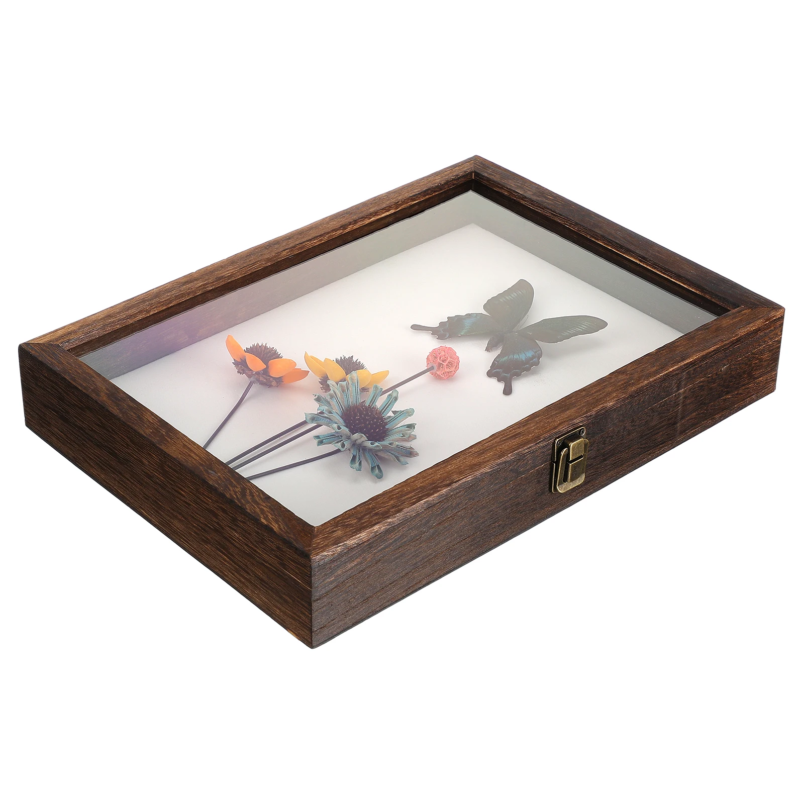 

Specimen Display Box Retro Acrylic Wood Grain Shadow Frame Dustproof Storage Case for Butterfly Coin Jewelry Craft