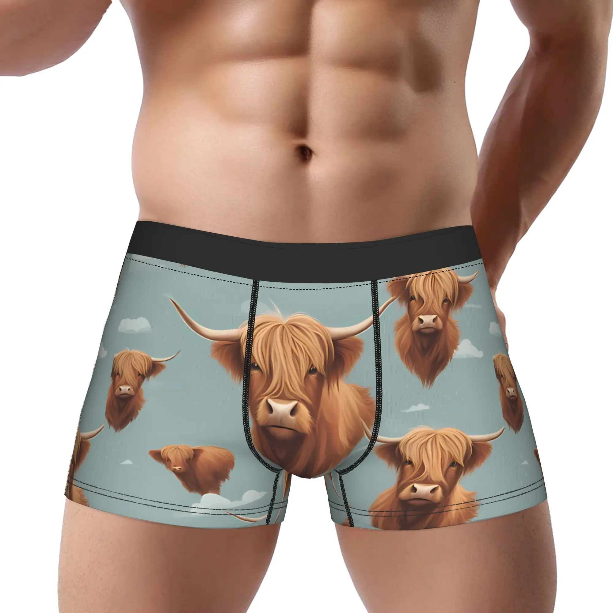 

Мужские трусы-боксеры Highland Cow Underwear из полиэстера с принтом