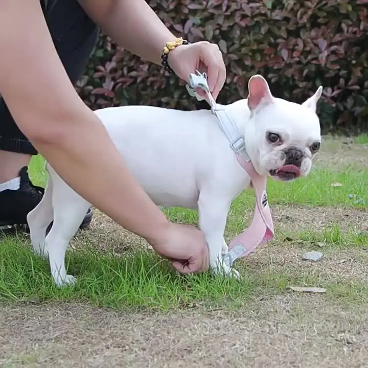 Coleira Peitoral Refletiva e Respirável para Cães e Gatos, Ajustável, para Cães de Pequeno e Médio Porte, para Passeios ao Ar Livre