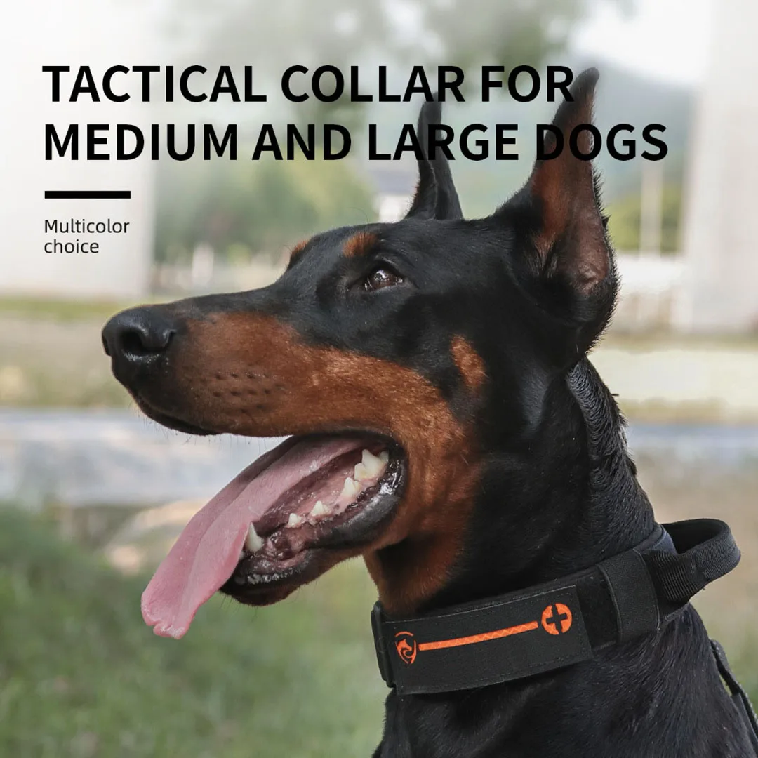 Tactical Pet Dog Collar Adjustable Collar for Medium Large Working Dogs Metal Buckle Control Handle Training Accessorie