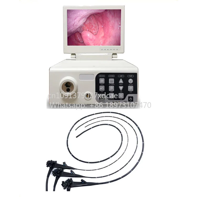 2026 New Complete Veterinary Endoscopy System Tower With Gastroscope Bronchoscope Laparoscope Camera Light Source