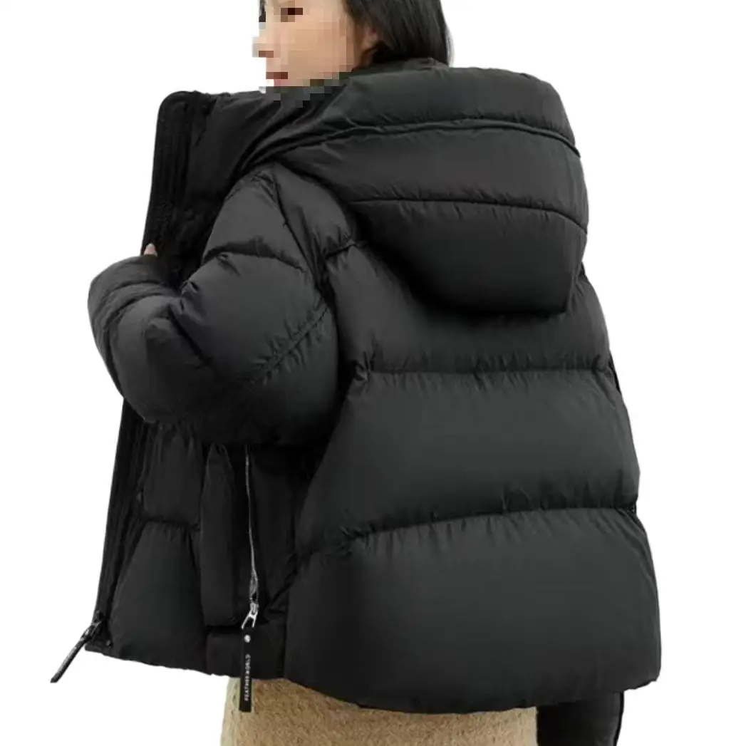 Pain ample mode petite taille vêtements d'extérieur noir 2025 nouveau Style coréen doudoune à capuche hiver court épaissi