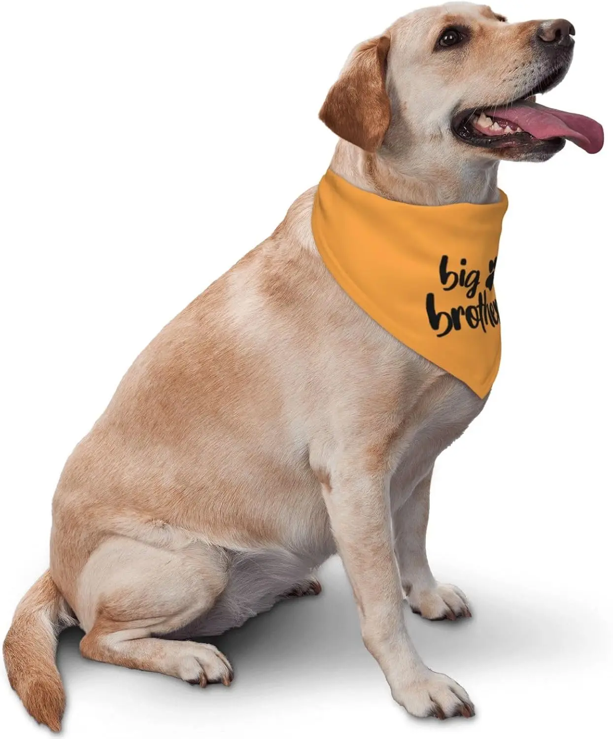 Big Brother Gender Reveal Baby Announcement Dog Bandana Matching Family Triangle Dog Bandana for Dogs