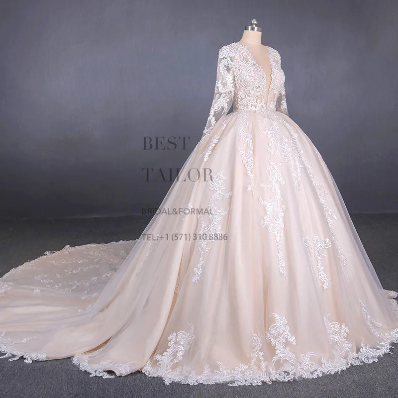 Luxurious Long Sleeves Lace Ball Gown Wedding Dress with Plunging V Neckline and Blush Undertone Regal Bridal Gown Embroidery