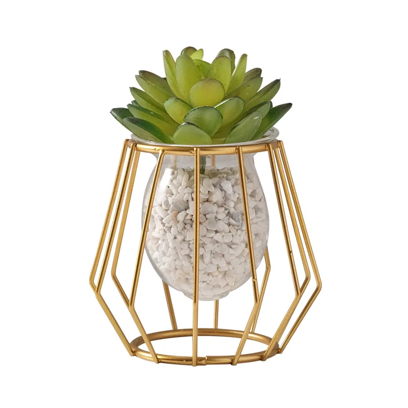 Home creative hydroponic vase ornaments office desktop green radish water plant container table decorations - view 5