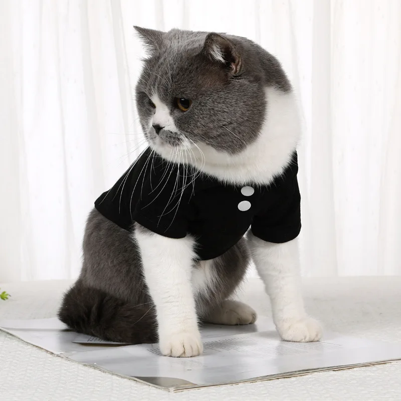 Pet short sleeve T-shirt