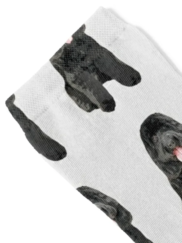 Cockapoo Cockerpoo Black Cutie Doodle Dog Socks Rugby Novelties japanese fashion hiphop Socks Men Women's