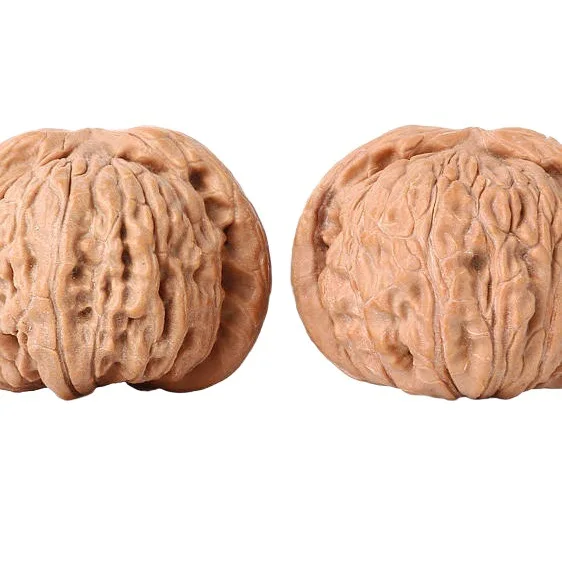 Natural Wild 36mm White Lion Head Low Stump Wenwan Walnuts Collectible Hand Massage Toys Great Gift For Men With Free Care Maint